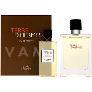 Hermes Terre d'Hermes Eau de Toilette 100ml + All Over Shower Gel 80ml мъжки комплект 